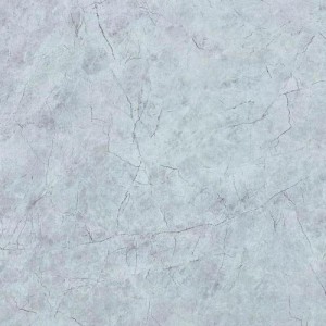 Gạch lát sàn Trường Thịnh MATT STONE V61002